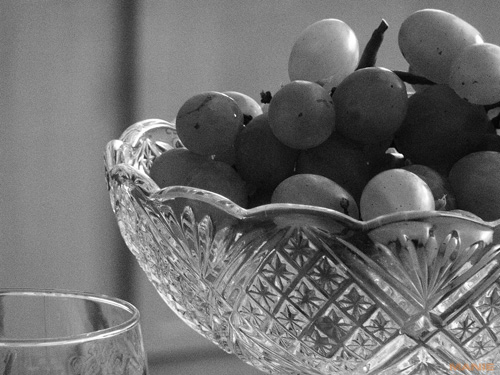 Panasonic Lumix TZ10: kapesní dělo