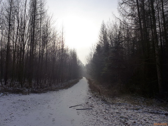 Panasonic Lumix LX7: kompaktní hvězda noci