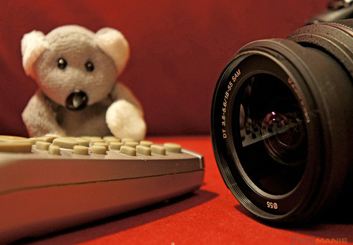 Fotíme s Koalou: Makro a telemakro