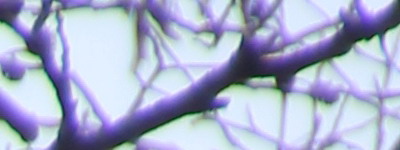 Megatest ultrazoomových objektivů