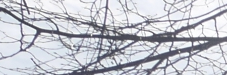 Panasonic Lumix G Vario 12-32mm f/3.5-5.6 ASPH. / MEGA O.I.S.