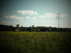 Olympus mju-7010: stylovka v růžovém