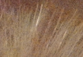 Nikon Coolpix P510: lovec rekordů