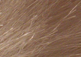 Panasonic Lumix G3: menší a lehčí, je i lepší?