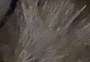 Sony SLT-A58: silný základ