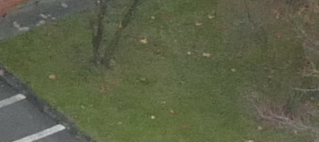 Panasonic Lumix FZ1000: legenda je zpátky