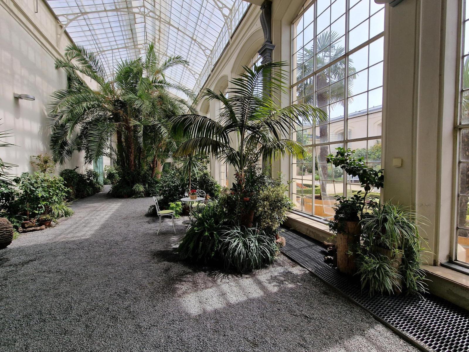 Samsung Galaxy S22 Ultra: pětioký fotografický král?