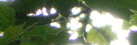 Sony Cyber-shot RX10: ultrazoom, jaký jsme chtěli