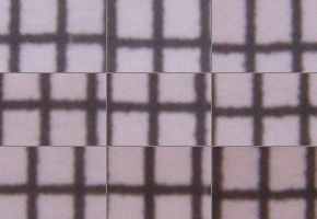 Panasonic Leica DG Vario-Elmarit 12-60mm / F2.8-4.0 ASPH. / Power O.I.S.