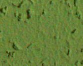 Souboj ultrazoomů: FZ5, Z5 a Z740