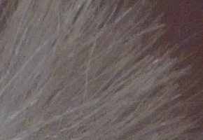 Nokia N9: nástupce fotomobilové legendy?