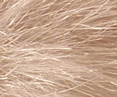 Olympus FE-370: stabilní zoom za hubičku