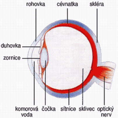 Světlo aneb nástroj každého fotografa - 3. díl