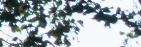 Sony Cyber-shot RX100 III (RX100M3): superSony