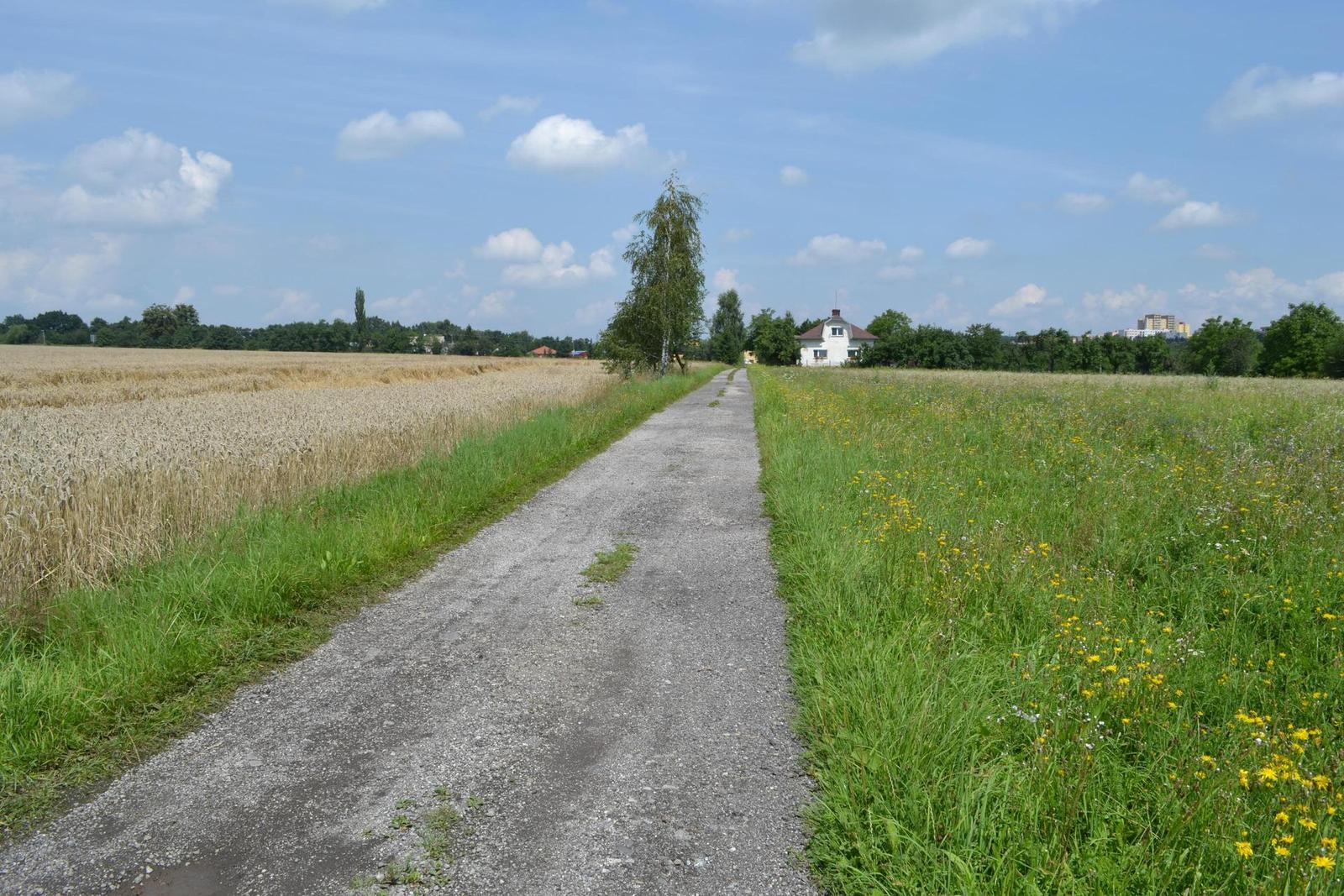 Nikon D3100: základ nabídky DSLR