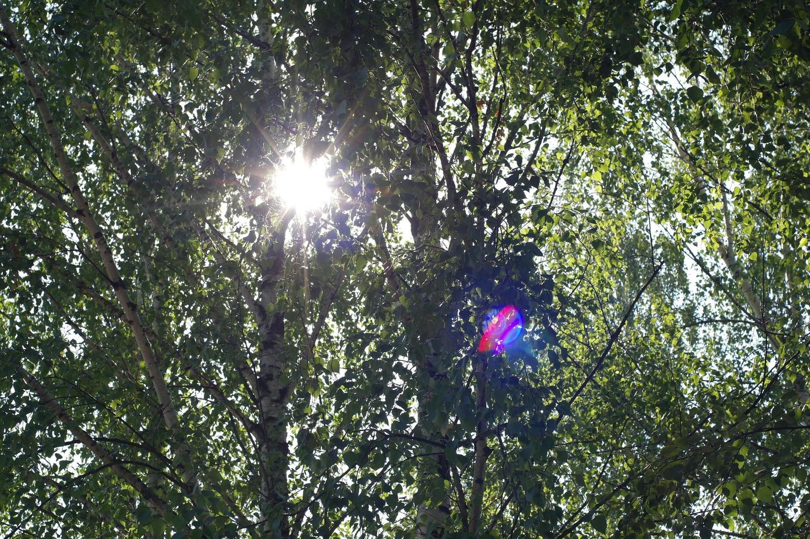 Minolta MD Rokkor 45mm F2.0 (MD)