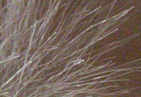 Sony NEX-5R: fázový posun k lepšímu?