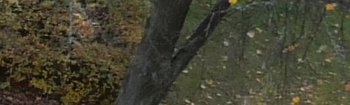 Panasonic Lumix LX100 II: postřehy z praxe