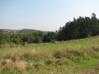 Canon PowerShot S2 IS: dvanáctinásobné oko Canonovo