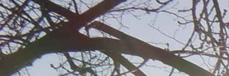 Panasonic Lumix LX100: pozoruhodný profi kompakt