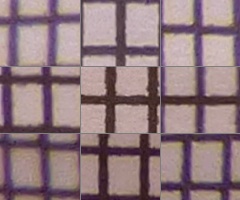 Panasonic Lumix TZ30: pokračovatel slavného rodu?