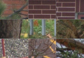 Nikon AF-P DX Nikkor 70-300 mm f/4,5-6,3G ED VR