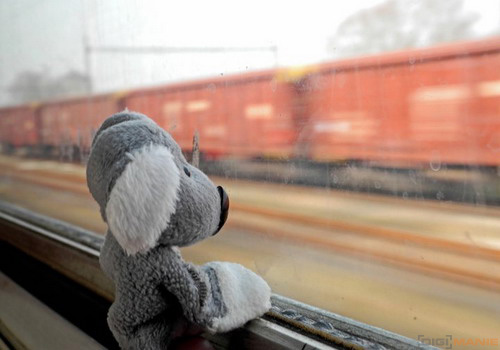 Fotíme s Koalou: Panning