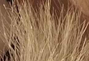 Olympus OM-D E-M5: elegantní fotokladivo