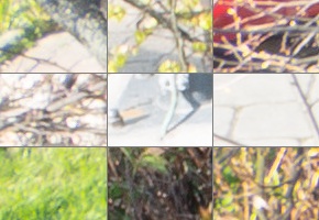 Panasonic Lumix S 24-105mm F4 Macro O.I.S.