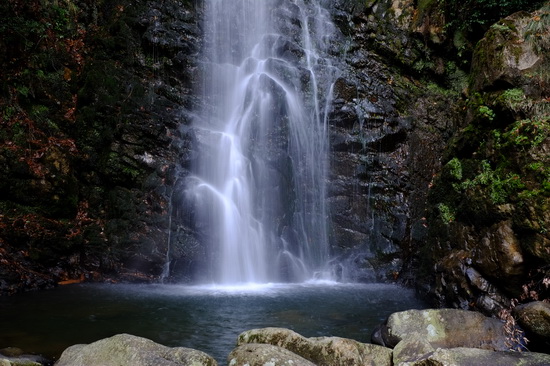 První oficiální snímky z Fujifilmu X-Pro1