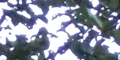 Nikon Coolpix L810: pro nenáročné