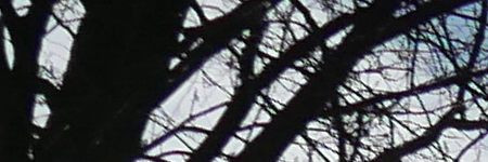 Panasonic Lumix LX100: pozoruhodný profi kompakt