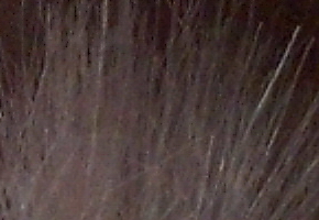 Genius G-Shot 510: vodník za pár korun