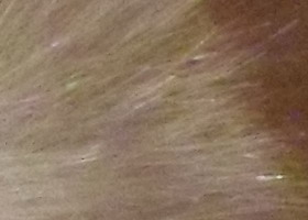 Samsung PL210: levně s grácií