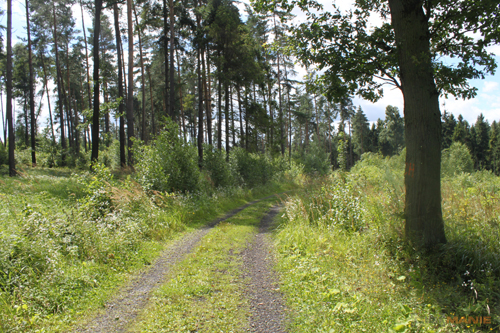 Canon EOS 500D: povedený pokračovatel rodu