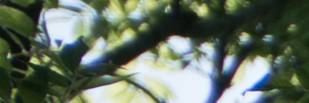 Sony E PZ 18-105mm F4 G OSS (SELP18105G)