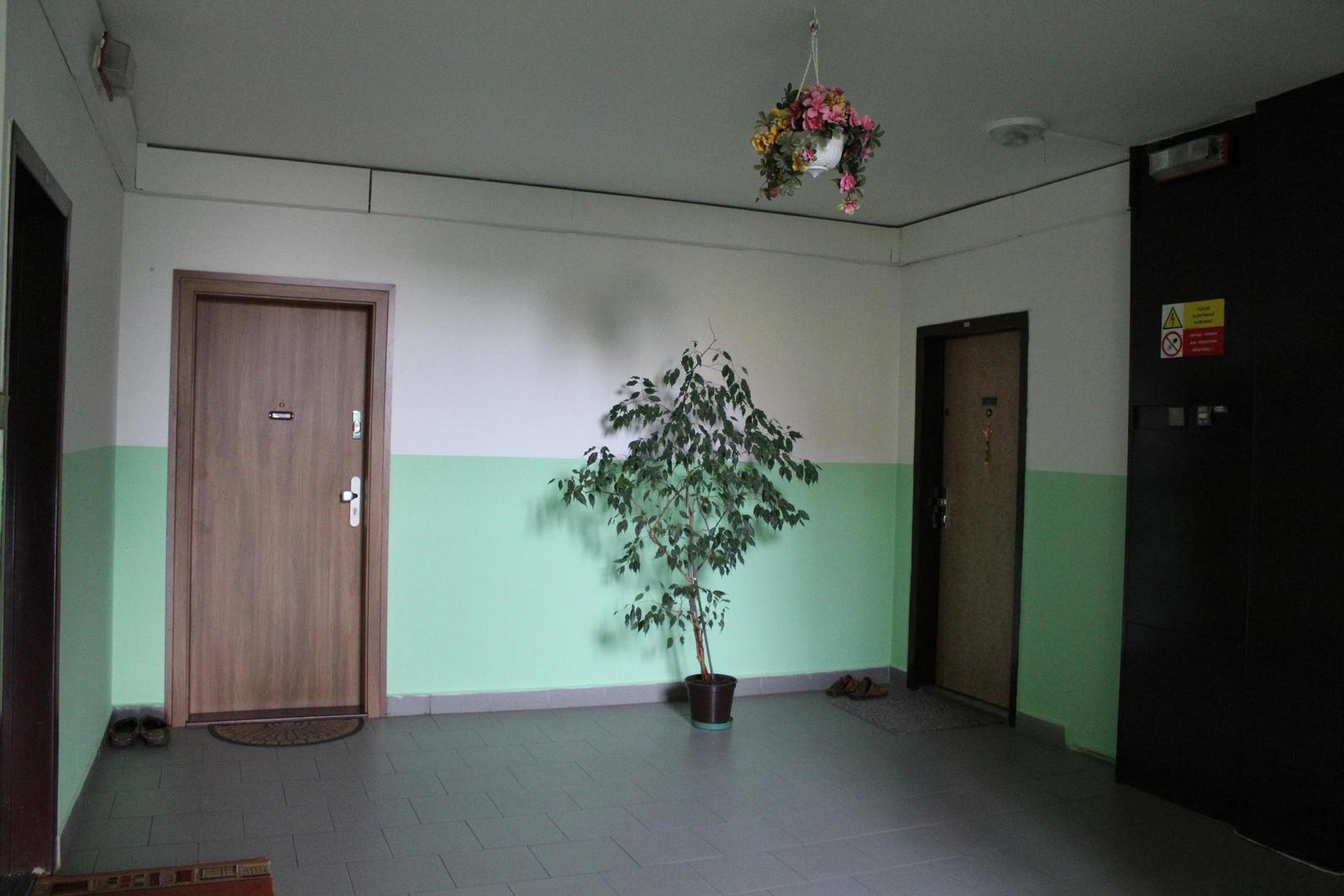 Canon EOS 1200D: vylepšený základ