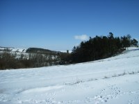 Caplio R1: Široká kompaktní náruč