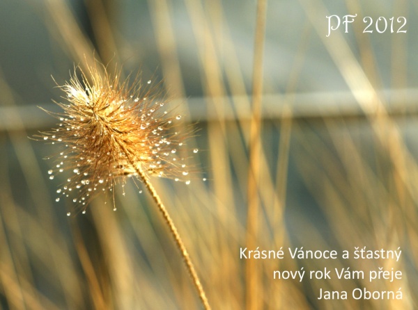 Zrcadlovka a já: PF 2012