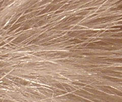 Olympus FE-370: stabilní zoom za hubičku