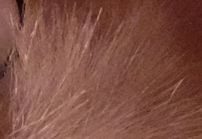 Fujifilm X-M1: našlapaná stylovka