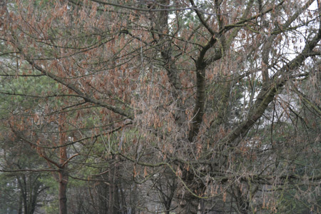 Srovnání 2 objektivů: profesionální Sigma vs. setový Canon