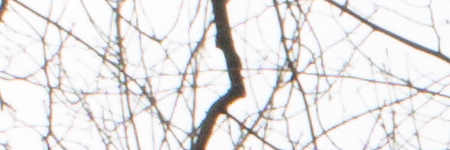 Canon PowerShot G1 X Mark II: významné zlepšení