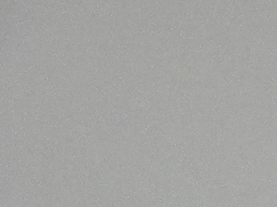 Nikon Coolpix L100: lovec hmyzu