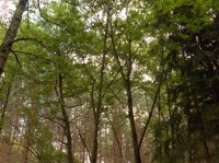 HP Photosmart R817: To nejlepší od HP