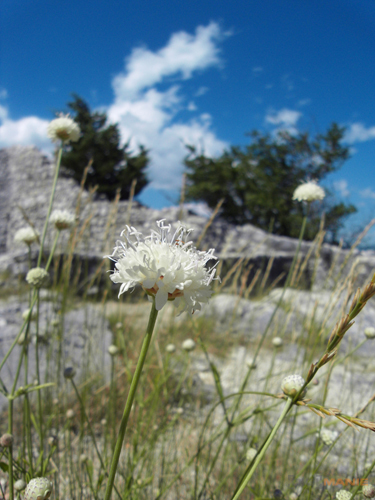 Samsung NV24HD: pojme téměř vše