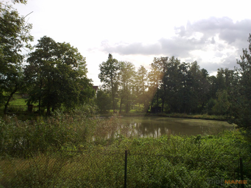 Nokia N86 8MP: s objektivem od profíka