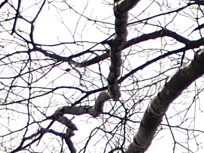 Postačí setový objektiv? Nikon vs. Sigma a Tamron