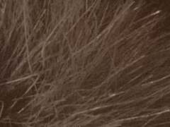 Fujifilm X100: splněný sen