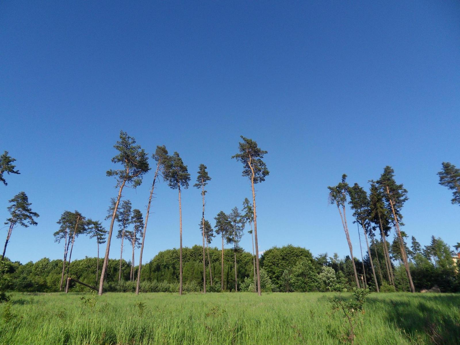 Samsung WB550: do šířky i dálky